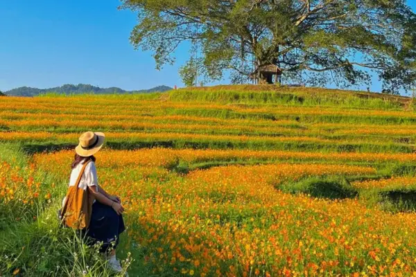 du lịch gần ga long khánh
