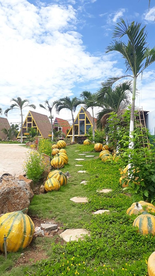 Ngoc Dung Mall Homestay 9