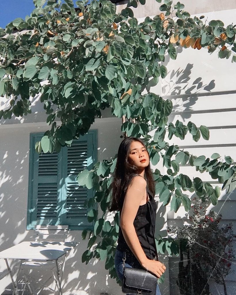 Thiet ke Passion House