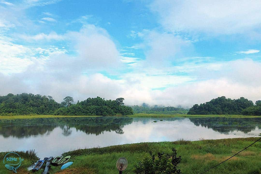 Cảnh quan Bàu Sấu