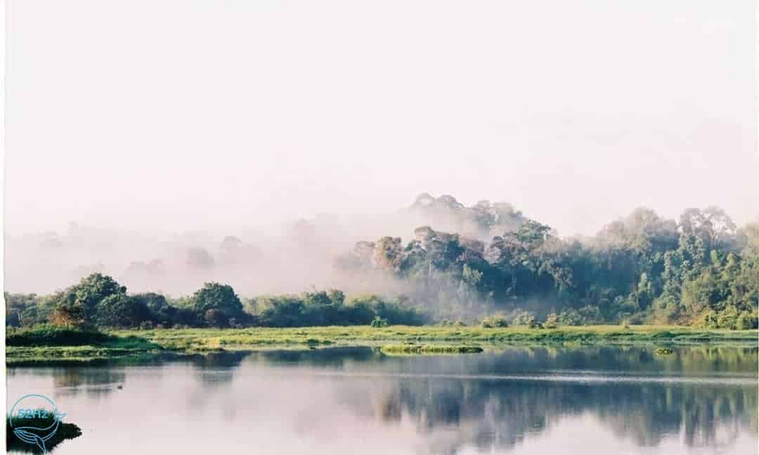 Bàu Sấu Đồng Nai
