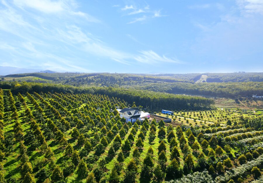 VIME Garden Long Khánh