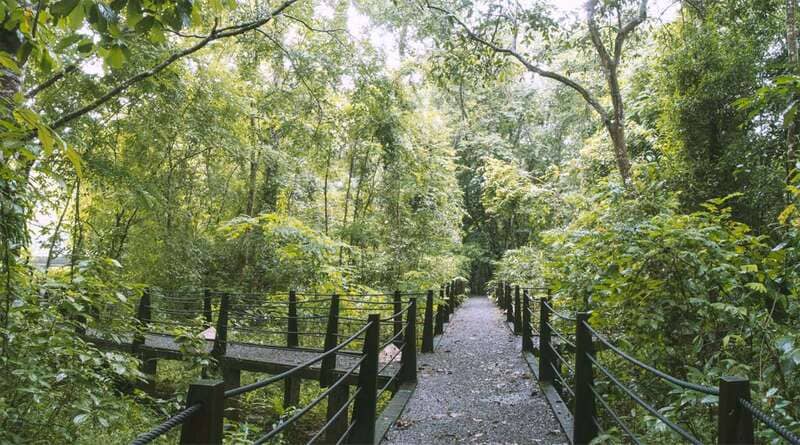 Trekking rừng Nam Cát Tiên