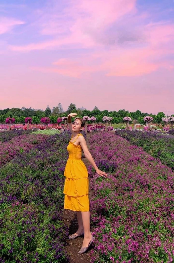Chụp ảnh tại vườn hoa