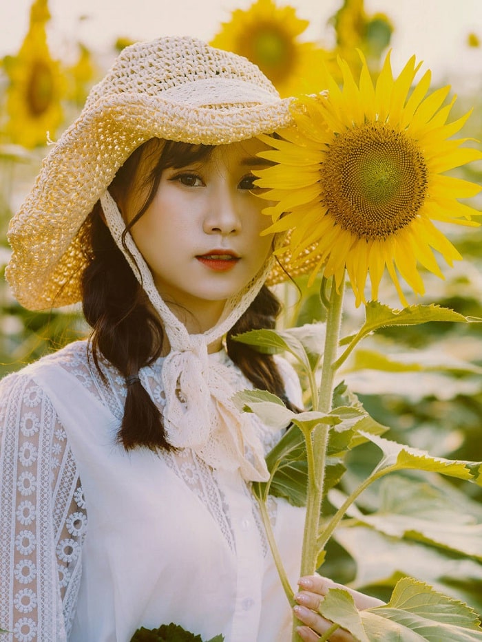 Chụp ảnh với hoa hướng dương