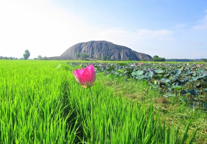 Đá Chữ Thập Đồng Nai