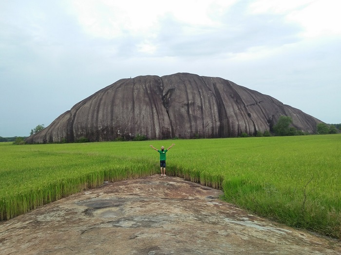 Tảng đá giữa cánh đồng lúa