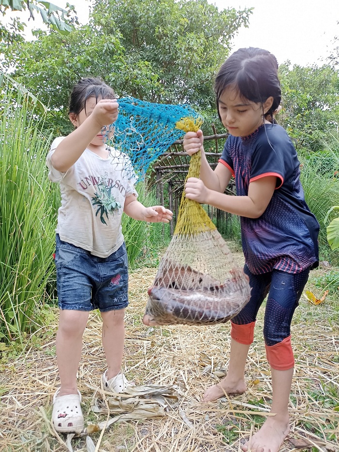 Du lịch Dốc Mơ Farm