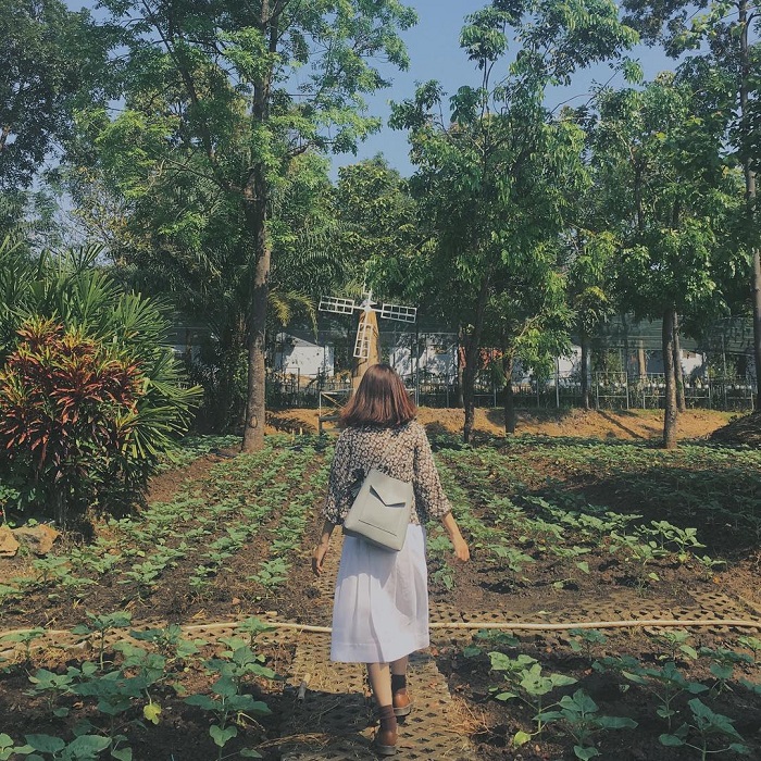 di chuyển đến Biên Hòa Đồng Nai