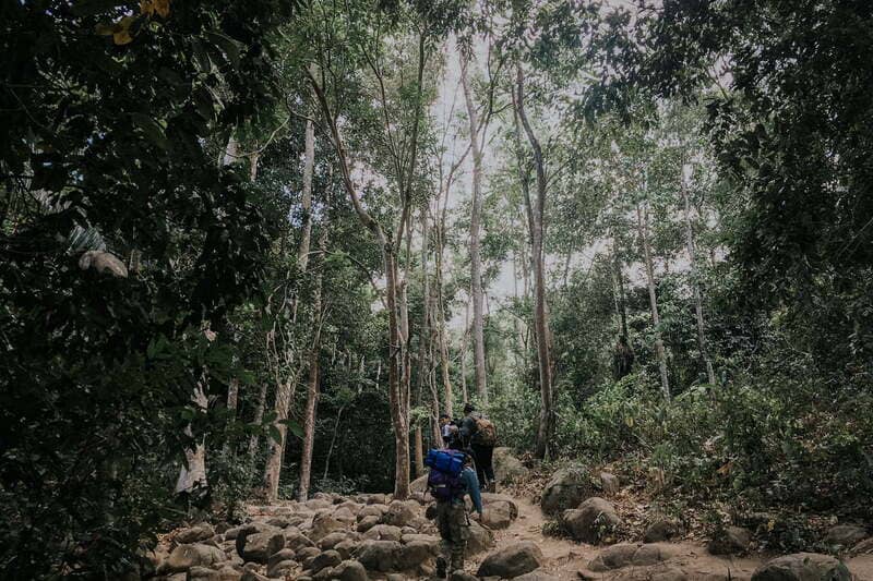 Cung đường cột điện núi Chứa Chan