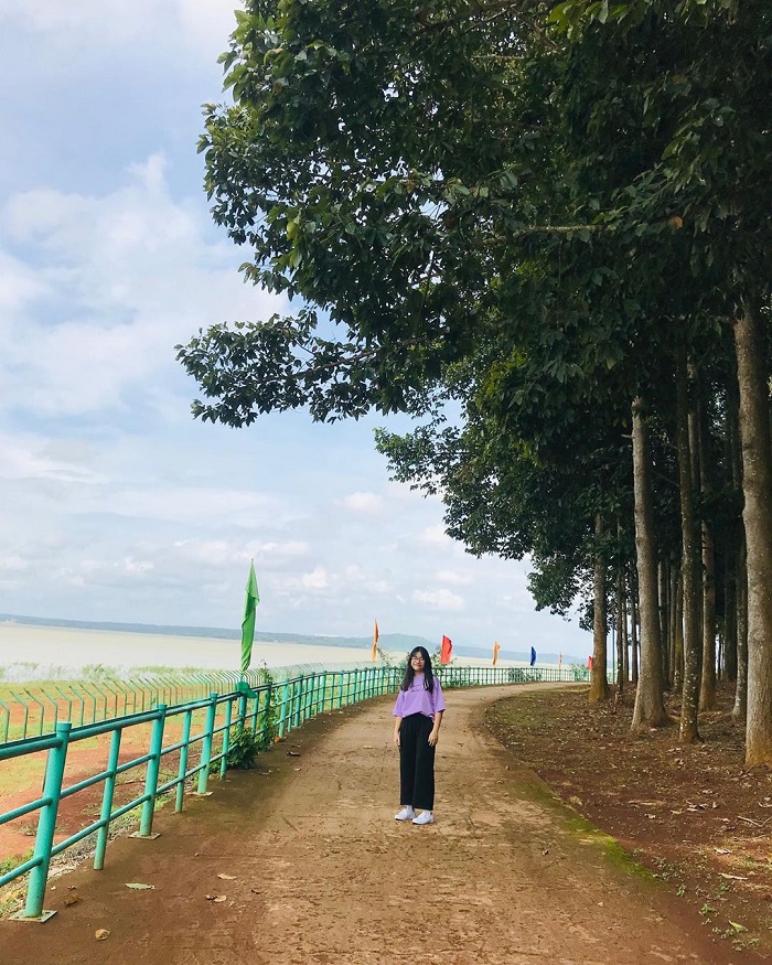 đảo Ó Đồng Trường