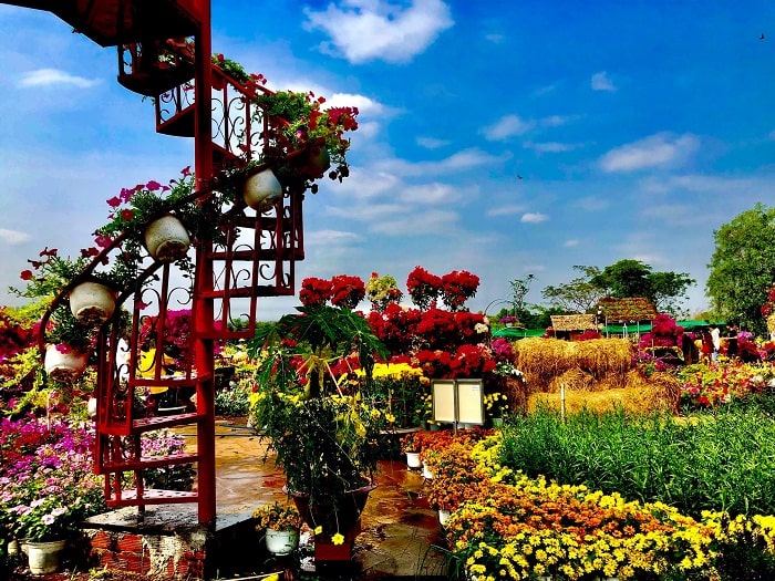 Khung cảnh vườn hoa bốn mùa