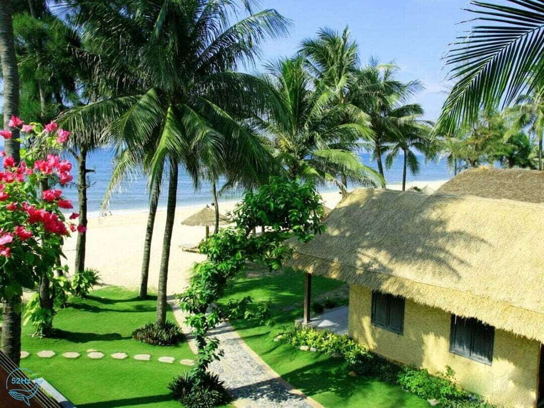 Không gian khu du lịch Tre Việt