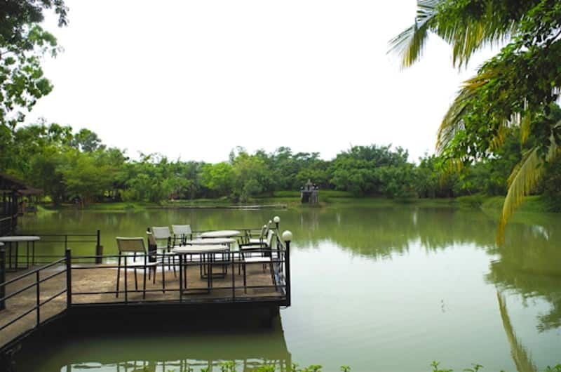 Bình minh rừng Mã Đà