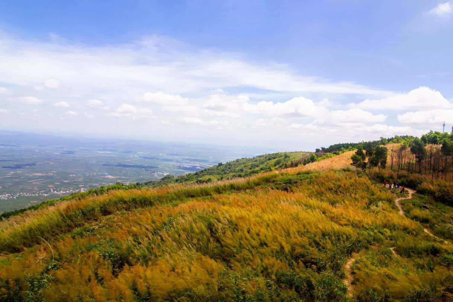 Đường đến núi Chứa Chan Đồng Nai