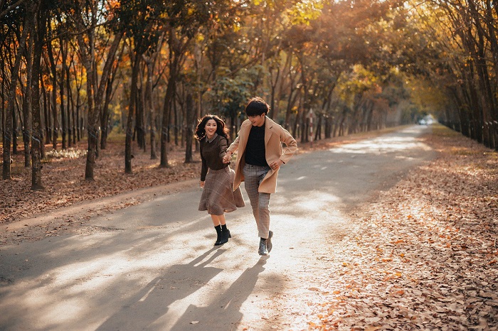 mùa cao su thay lá Đồng Nai