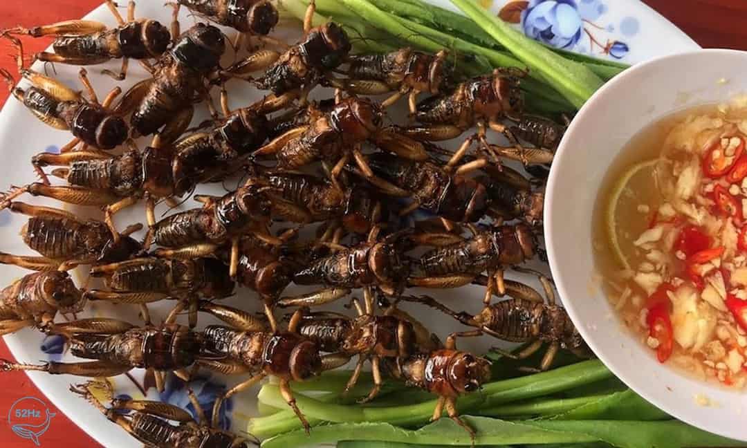 Ẩm thực Thác Đá Hàn