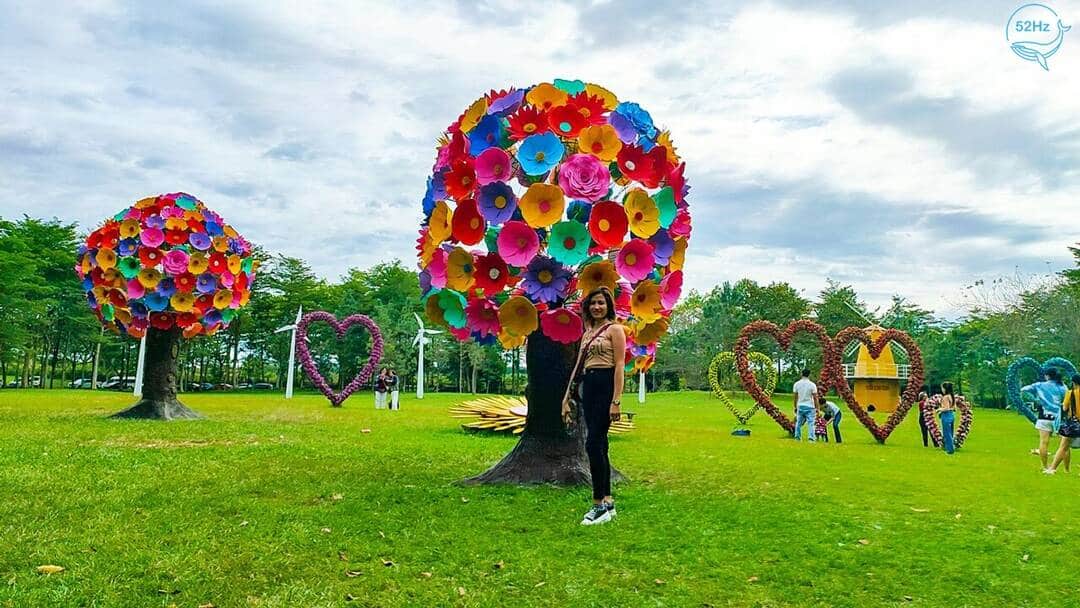 Thác Giang Điền nhìn từ xa