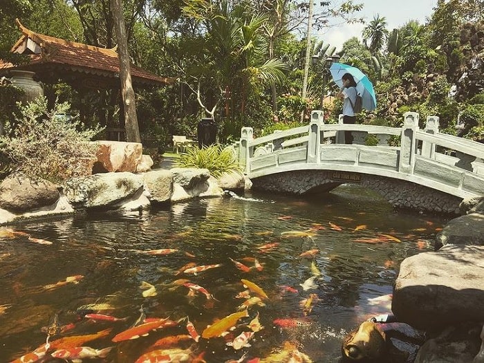 Hồ cá trong thiền viện Thường Chiếu