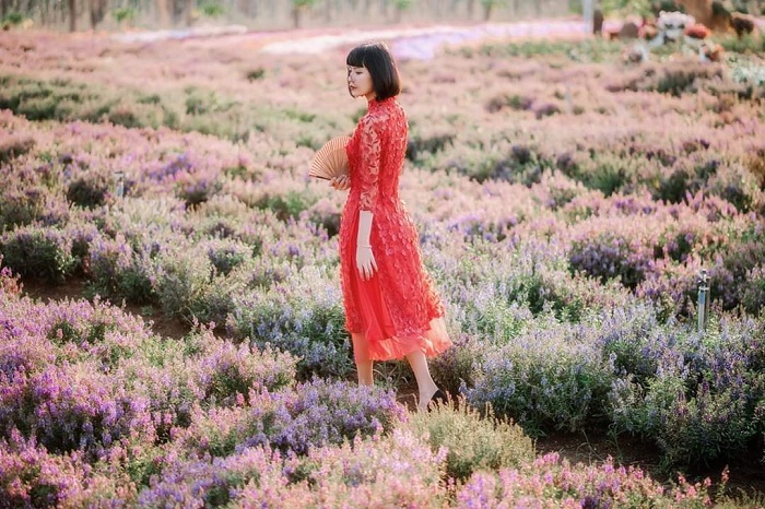 Cánh đồng hoa Xuân Lộc